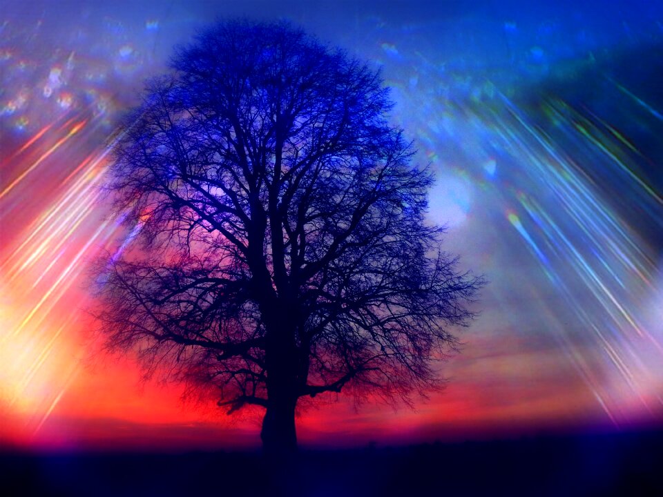 Evening sky log sunset