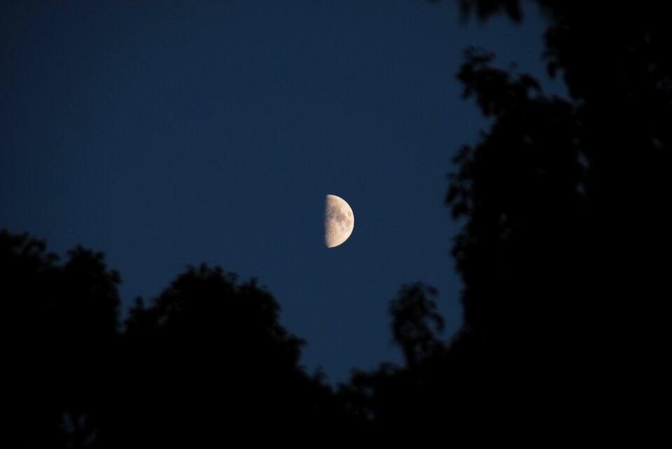 Light nature moonlight