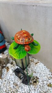 Pebble sheet turtle