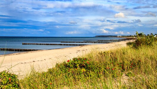 Beach water nature