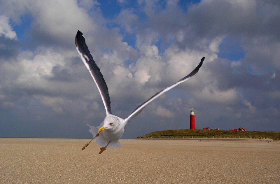 Texel action landscape