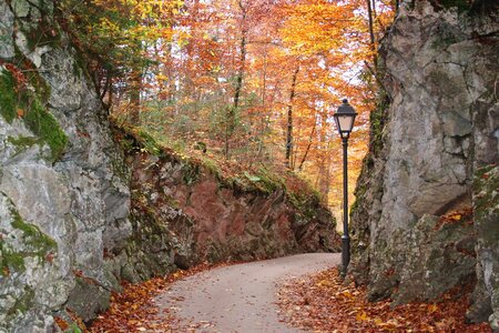Golden autumn autumn mood emerge