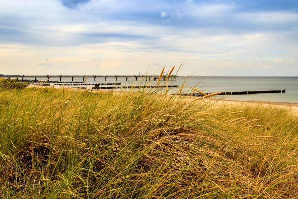 Nature dunes sand beach