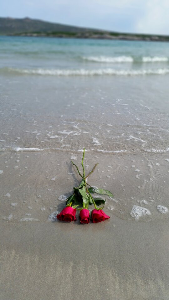 Sand sea ocean