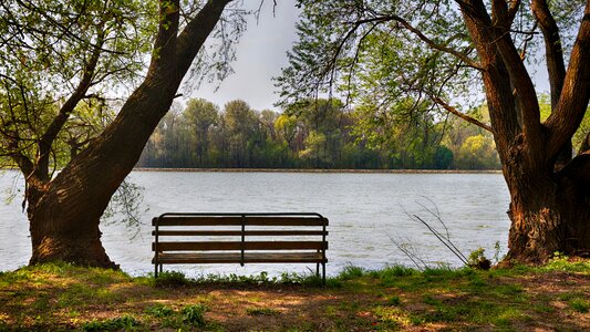 River trees mood