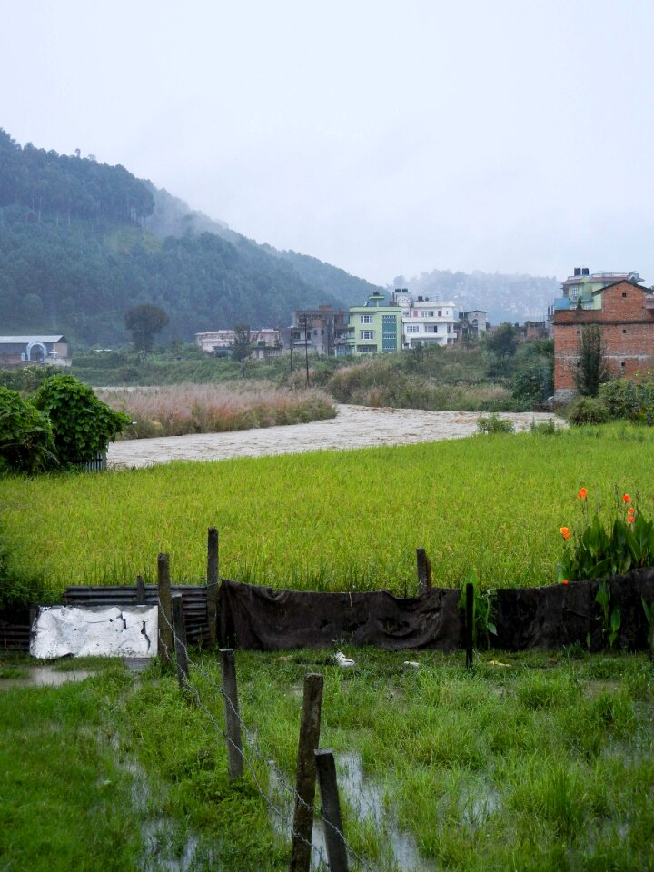 Flooding rain mountain