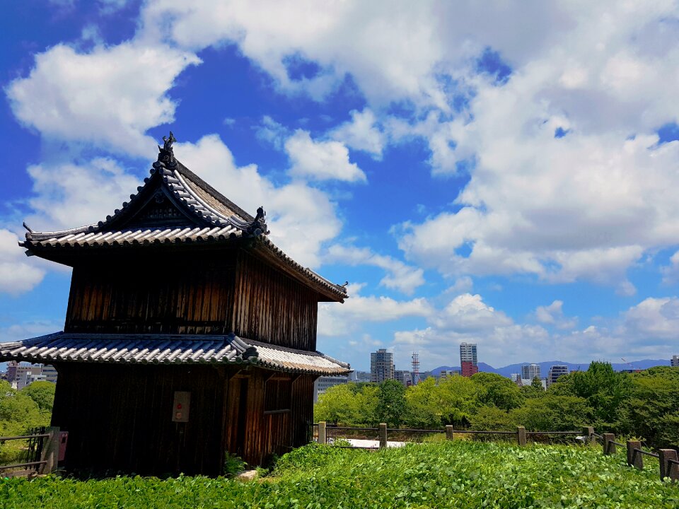 Sunny outdoor the nature of the