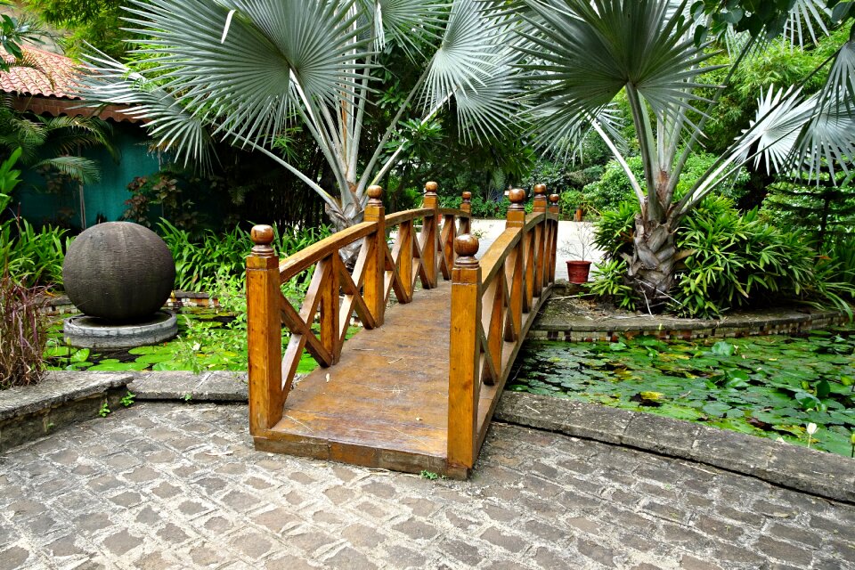 Garden path outdoor