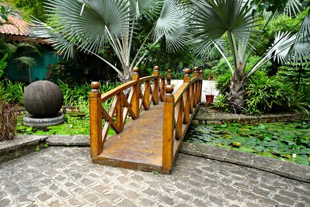 Garden path outdoor