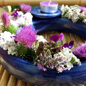 Candle summer flowers wild flowers
