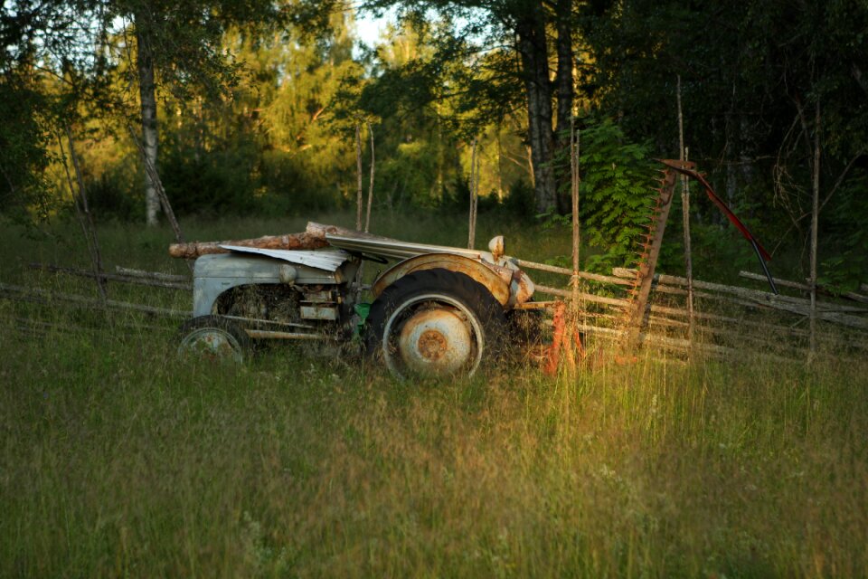 Fence summer sweden