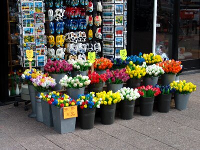 Street plant flower stall