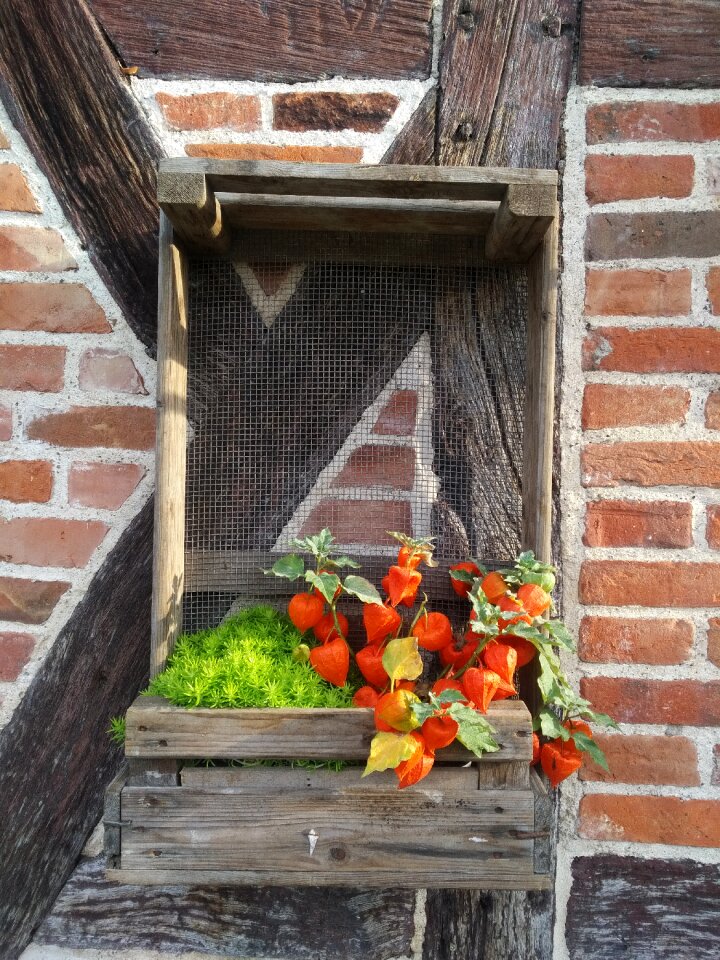 Arrangement obstkiste mecklenburg