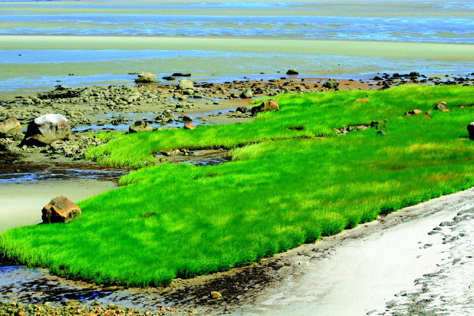 Nature green sky