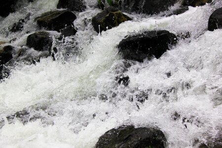 River stream stone photo
