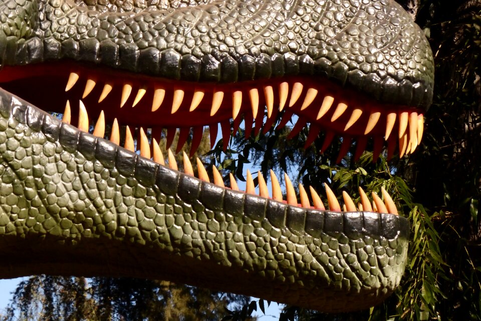 Closeup brown teeth brown dinosaur