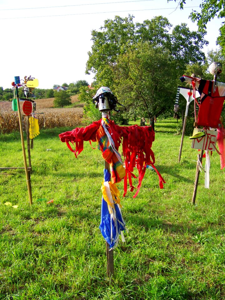 Scarecrow puppies funny
