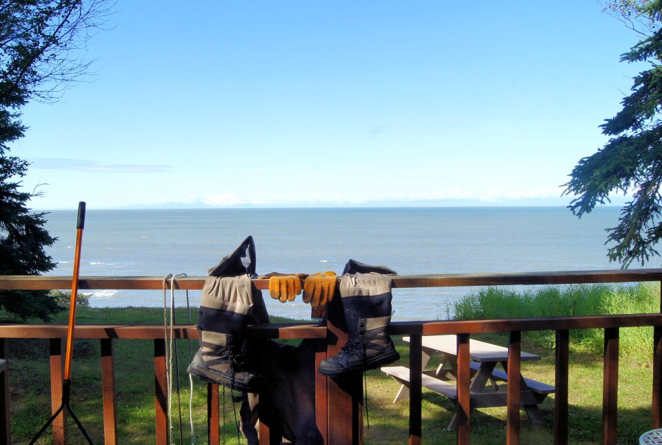 View alaska blue cooking