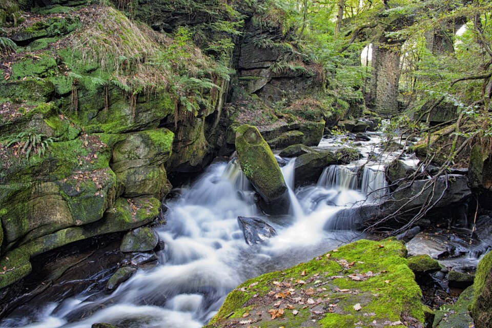 Wet environment landscape