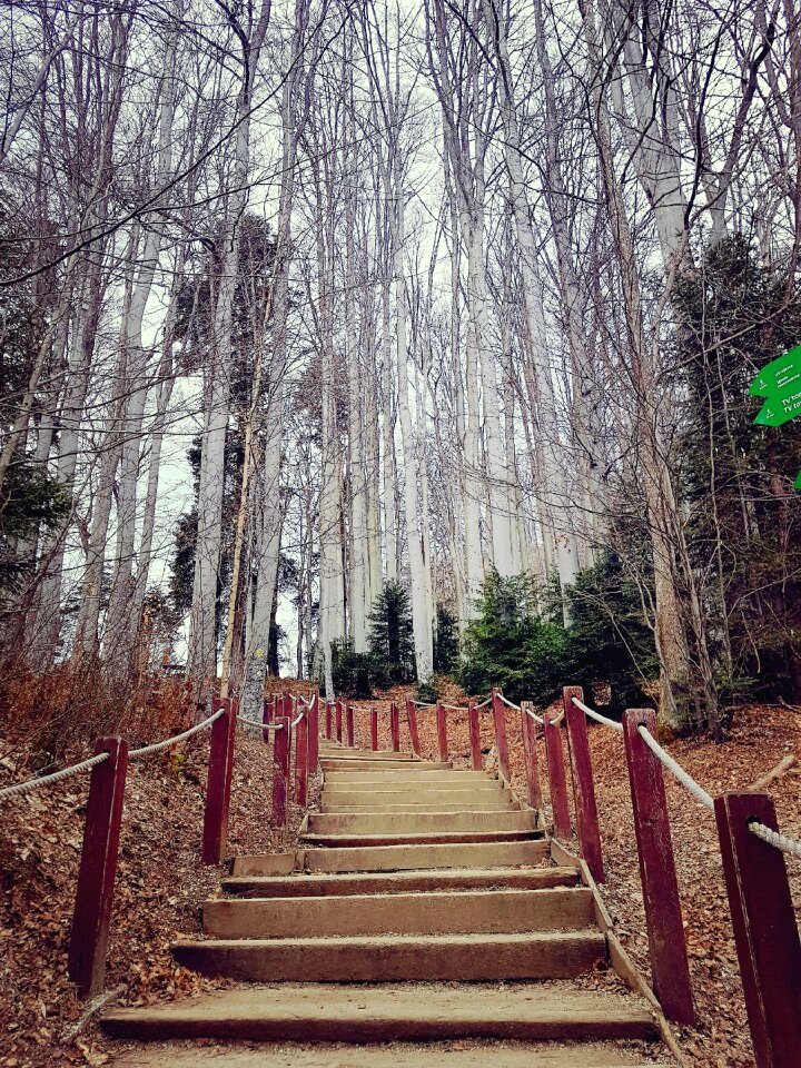 Fall stairs