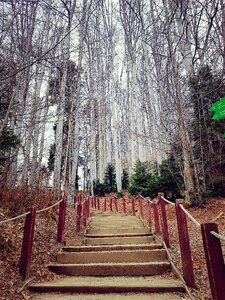 Fall stairs photo