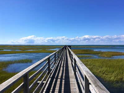 Long pier walking pier over marsh photo