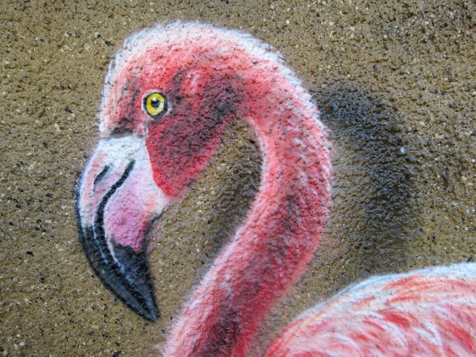 Zoo berlin lichtenberg
