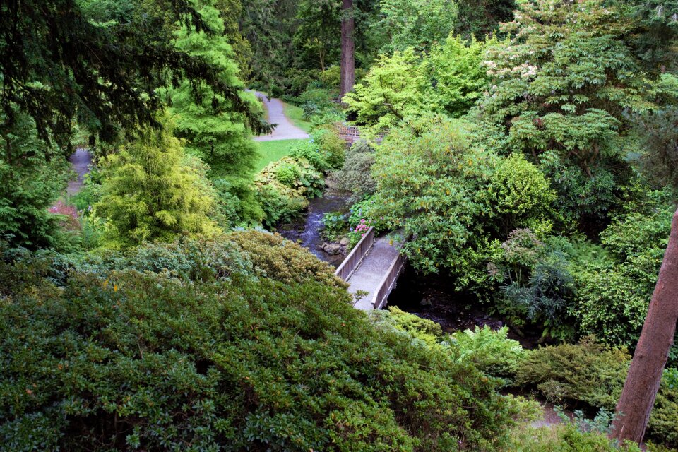 Water bridge green