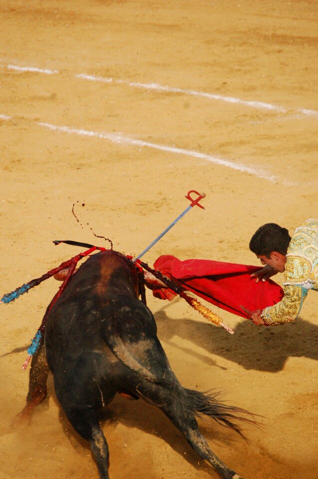 Plaza bullring matador photo