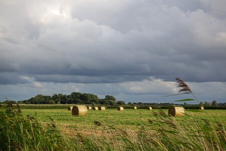Hay bales grass clouds photo