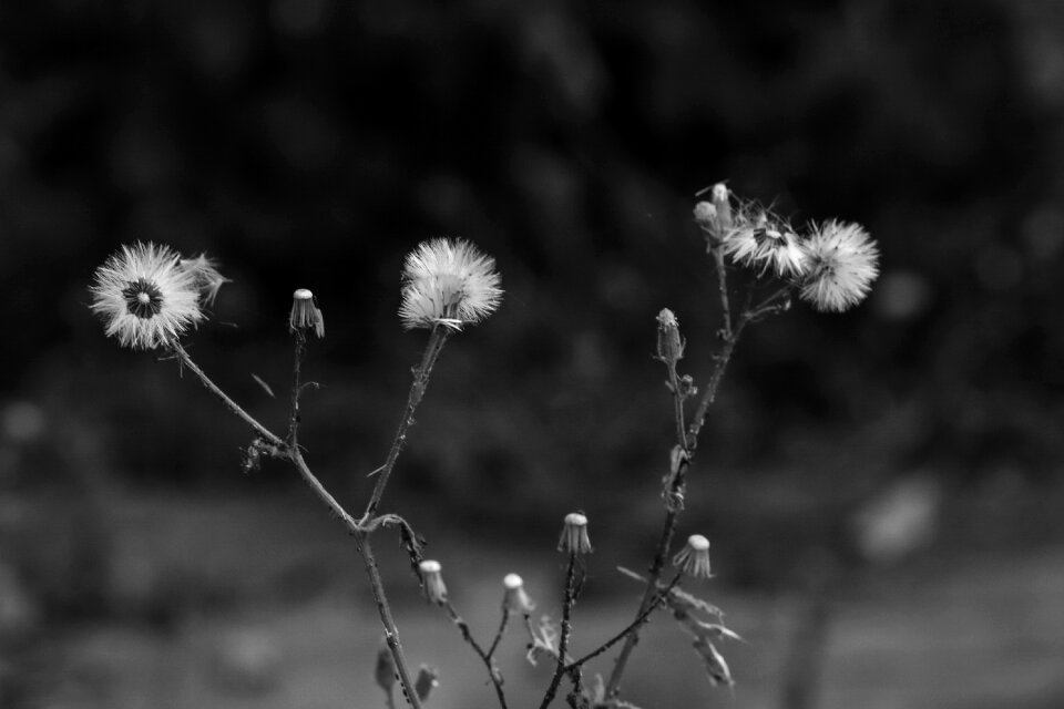 Autumn fall