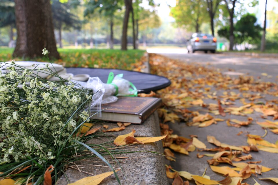Autumn street books