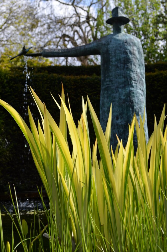 Flower garden spring summer