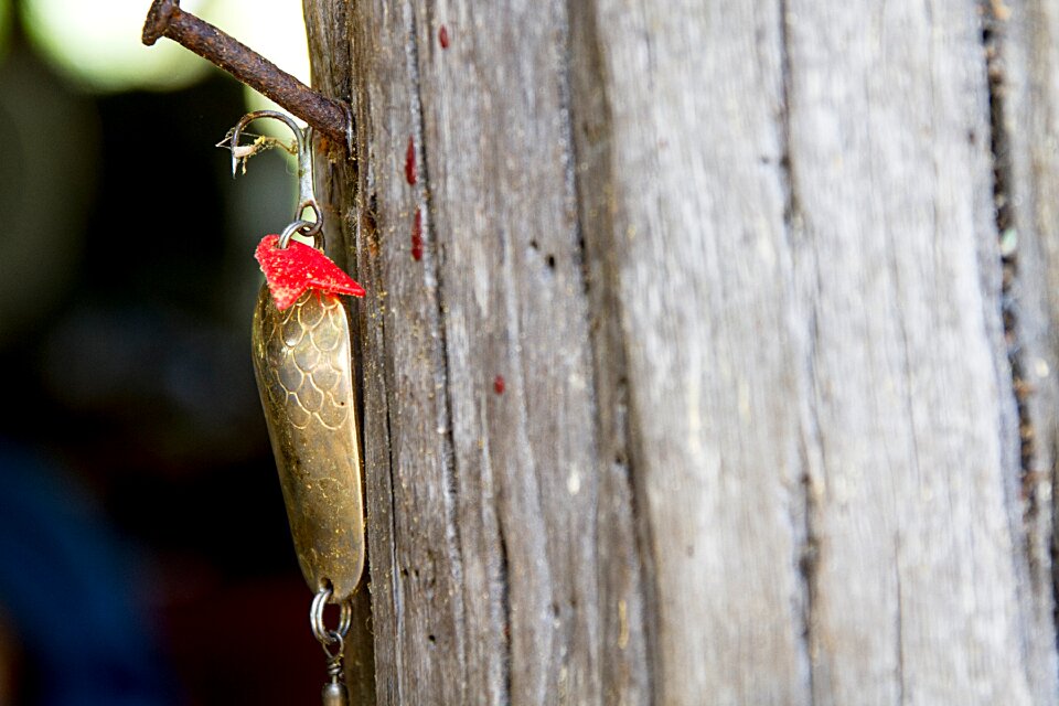Lures lure fishing lure