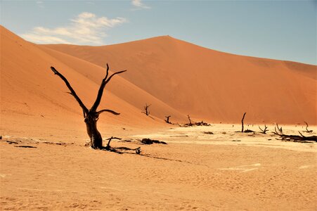 Desert dead vlei africa photo