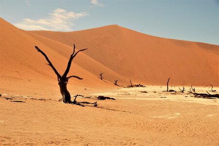 Desert dead vlei africa