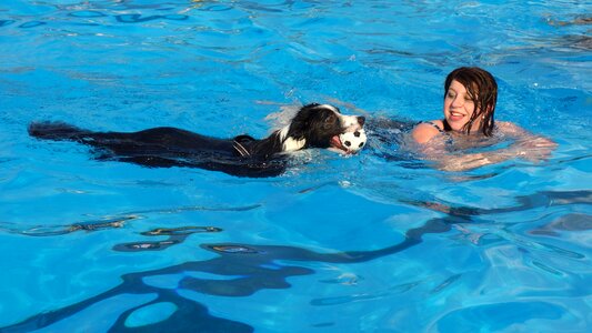 Swimming swimming pool hondenzwemmen photo