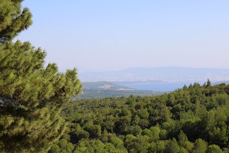 Mountain lake trees photo