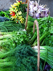Vegetables green healthy