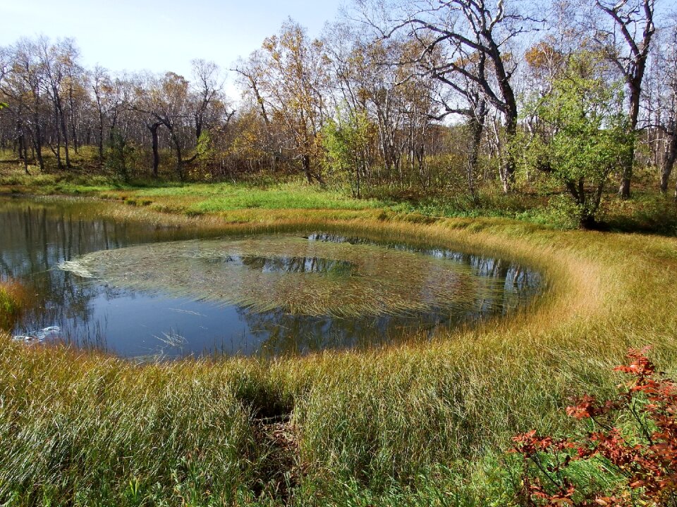 Nature water landscape