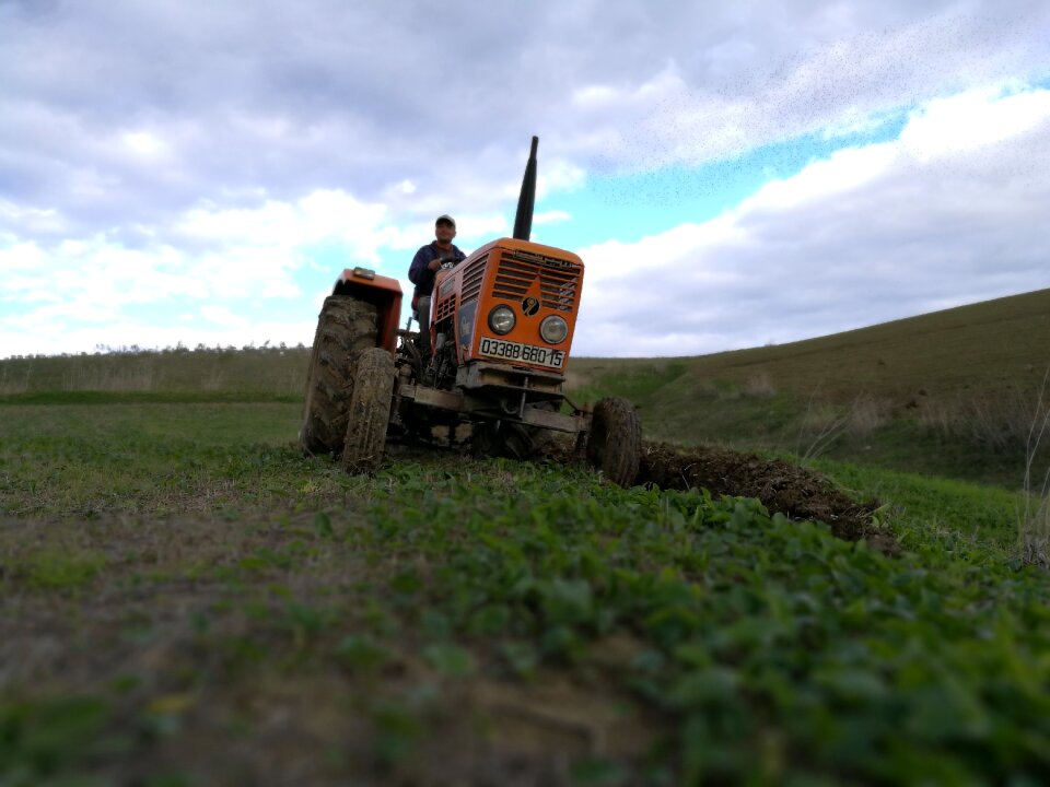 Old tractor field rural