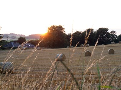 Landscape evening rural