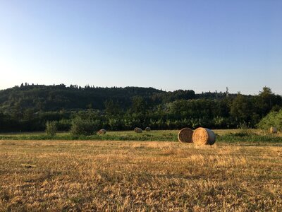 Hay bale landscape