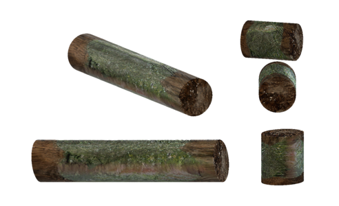 Wood tree section