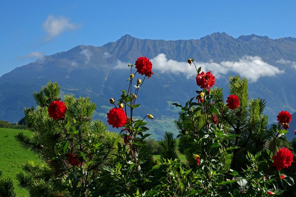 Sky summer alpine
