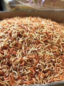 Seafood market dried food photo