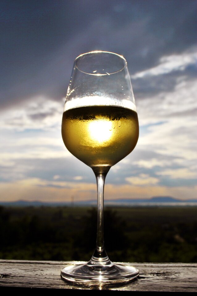Lake balaton wine summer