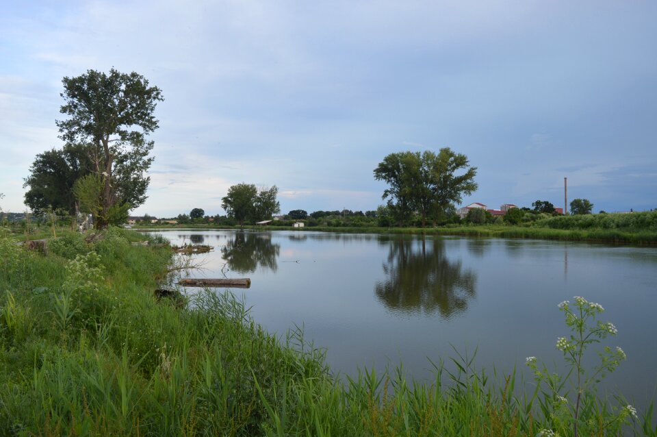 Landscape nature green