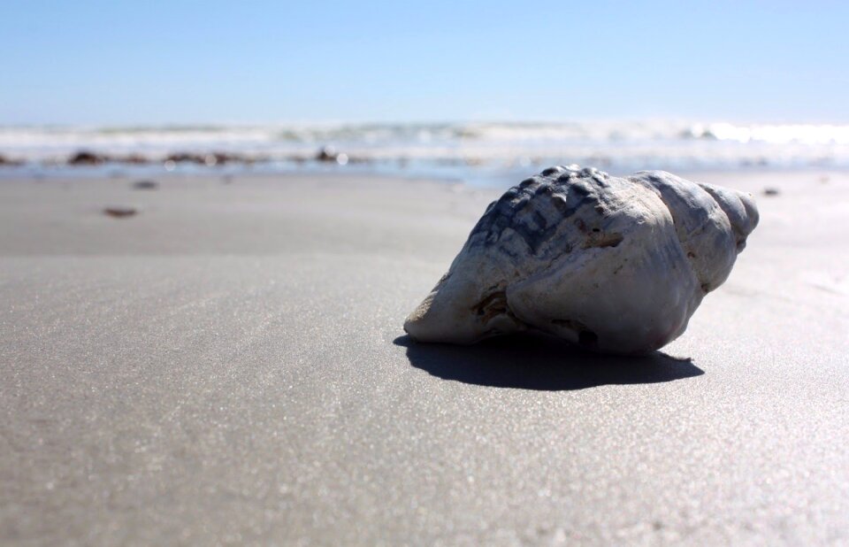 Summer sea tropical photo