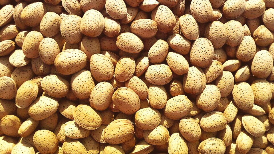 Maturation fruit dry fruit